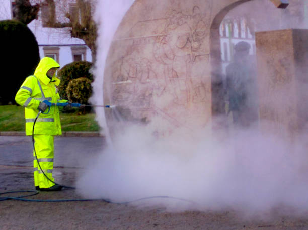 Best House Pressure Washing  in Wilson, AR