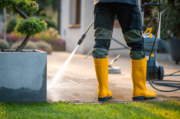 Best Deck Pressure Washing  in Wilson, AR
